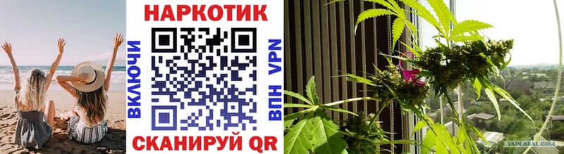 Где купить наркотики Заинск МЕТАДОН Канабис Альфа ПВП Меф МЕГА рабочий сайт COCAIN Гашиш Галлюциногенные грибы