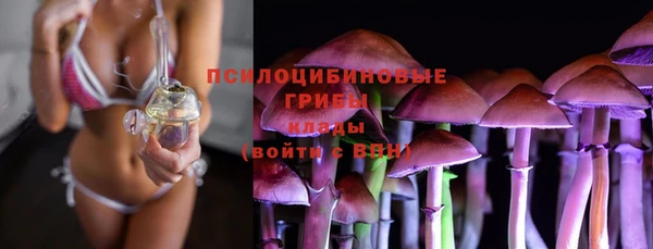 каннабис Алексеевка